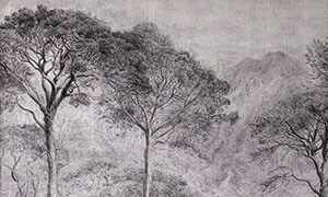 erdo-small